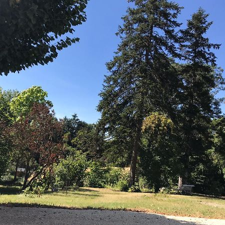 Charmant F1 Avec Terrasse Et Vue Sur Jardin Arbore - Fraicheur Naturelle Du Rez De Jardin - Parking Bellerive-sur-Allier Buitenkant foto