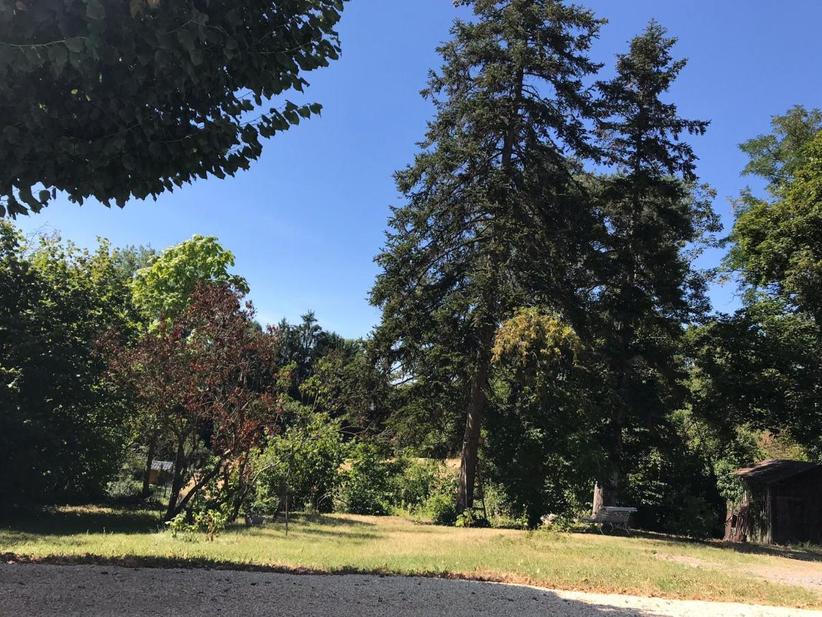 Charmant F1 Avec Terrasse Et Vue Sur Jardin Arbore - Fraicheur Naturelle Du Rez De Jardin - Parking Bellerive-sur-Allier Buitenkant foto